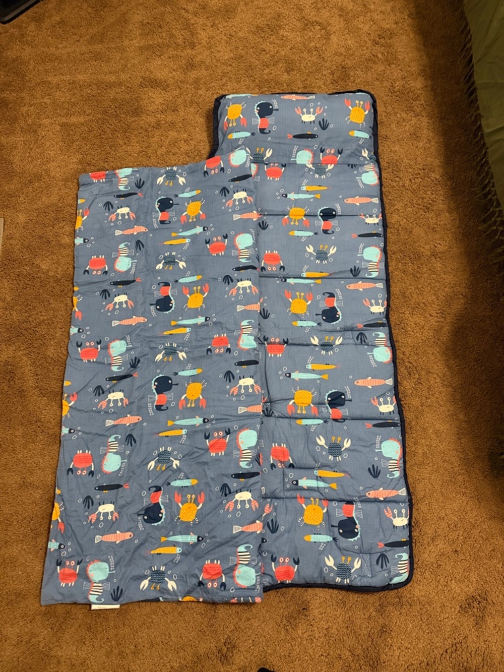 Blue Ocean Animal Sleep Mat w/pillow